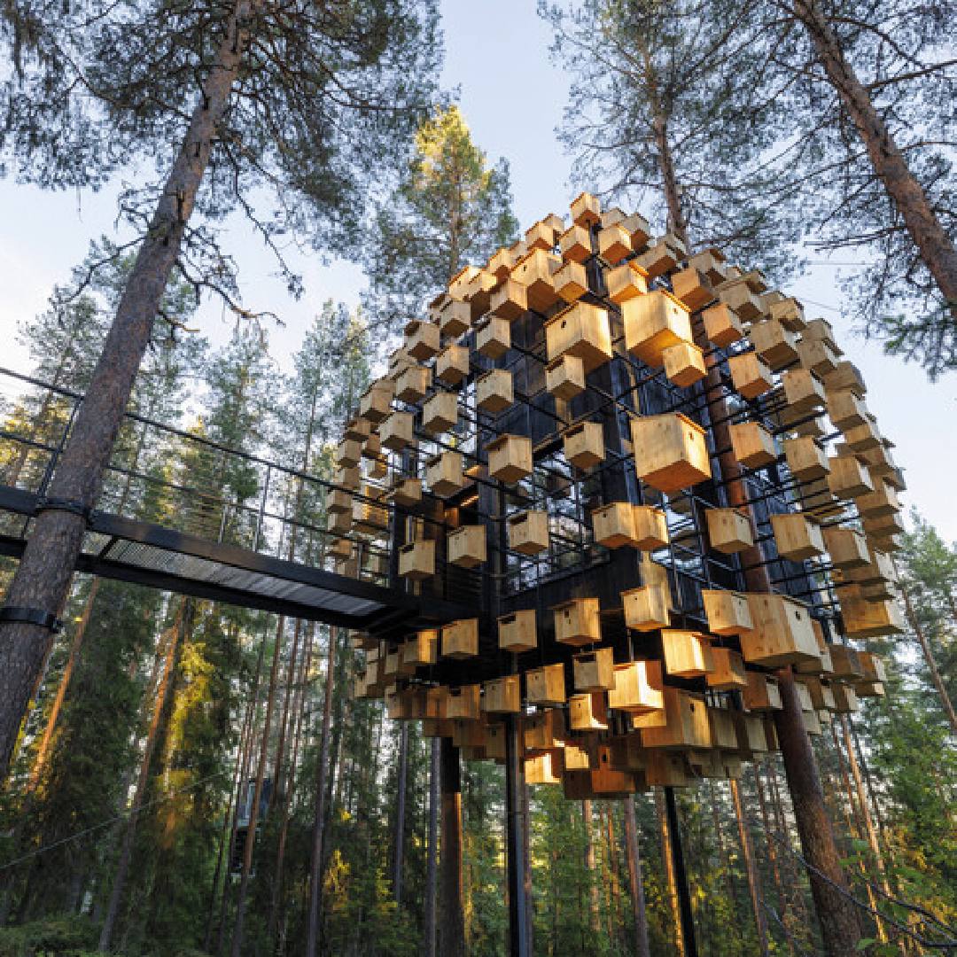 quarto que é uma construção parecida com uma colmeia em meio a uma floresta no topo das árvores
